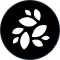 nkn
